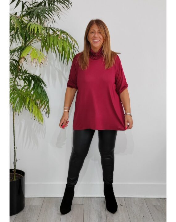 Autumn Ruched Polo Neck Top - Wine